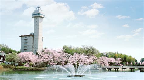 尾張旭市 デリヘル|尾張旭で呼べるおすすめのデリヘル一覧